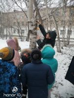 Недела Экологии